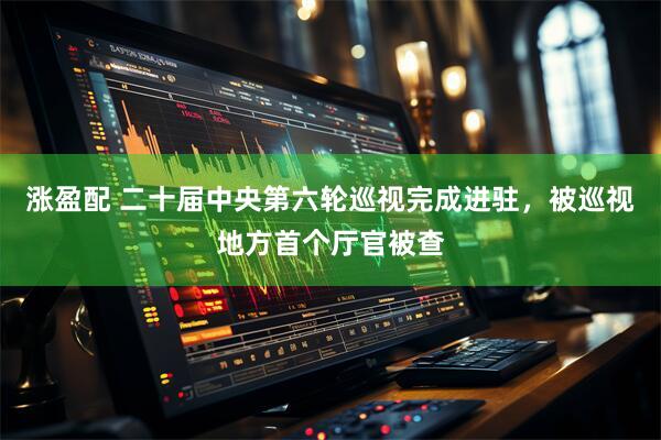 涨盈配 二十届中央第六轮巡视完成进驻，被巡视地方首个厅官被查